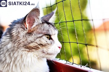 Siatki Brzeg - Siatka na balkony dla kota i zabezpieczenie dzieci dla terenów dla Brzegu